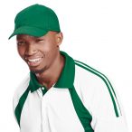 6 Panel Brushed Cotton Cap