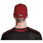 6 Panel Brushed Cotton Cap - Back